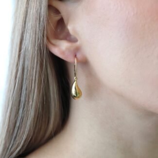 Sidabriniai paauksuoti auskarai