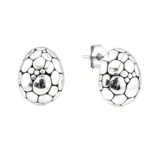 Sidabriniai auskarai