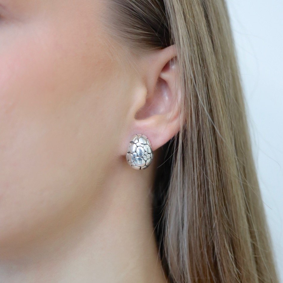 Sidabriniai auskarai