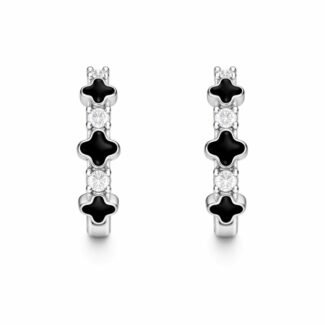 Sidabriniai auskarai su dobiliukais