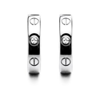 Sidabriniai modernūs auskrai